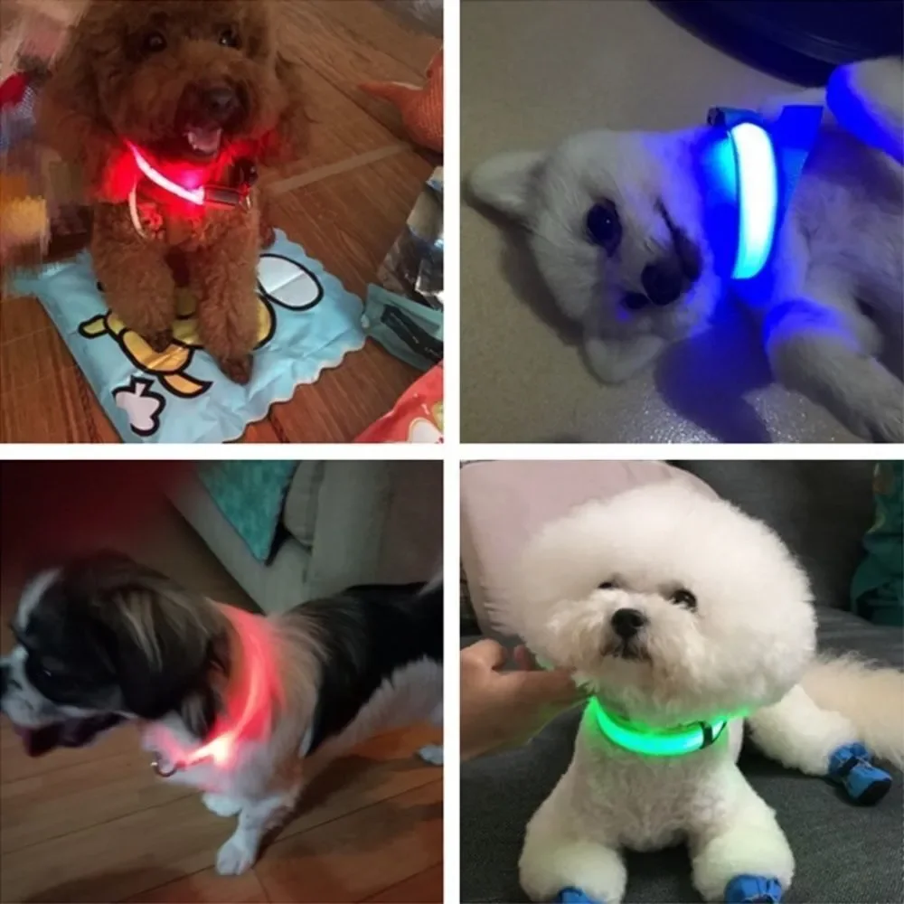 ⛔️CLEARANCE ⛔️LED Night Jog Dog Collar